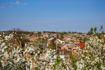 A view of a city with a lot of houses and trees in bloom.