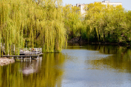 A pond with a dock and a bridge in the middle of it.の写真素材