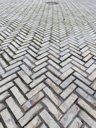 A brick walkway with a herringbone pattern on it.