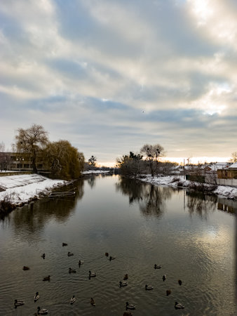 A group of ducks floating on top of a body of water.の写真素材