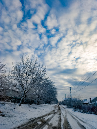 A snow covered road with a tree in the middle of it.の写真素材