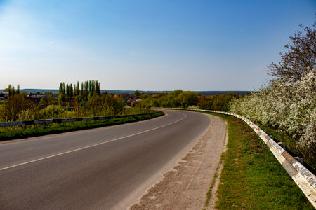 A long empty road in the middle of a grassy field.の写真素材