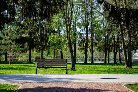A park bench sitting in the middle of a lush green park.の写真素材