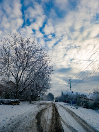 A dirt road in the middle of a snowy field.の写真素材