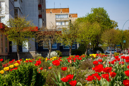 A flower bed in the middle of a city street filled with lots of flowers.の写真素材