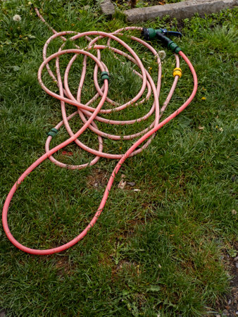A pink garden hose laying on the grass in a yard.の写真素材