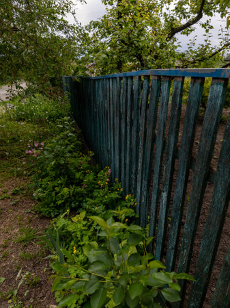 A wooden fence in the middle of a lush green garden.の写真素材