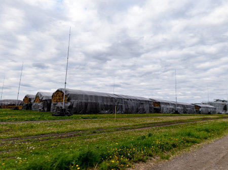 A field of hay bales covered in black tarp on a cloudy day.の写真素材