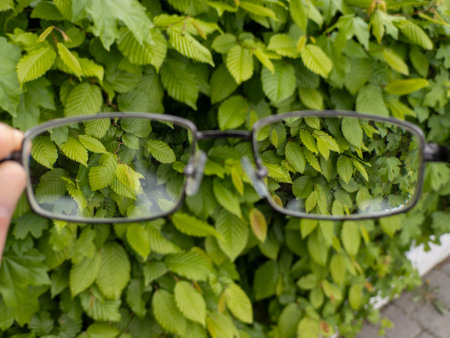 A person holding up a pair of glasses in front of a bush.の写真素材