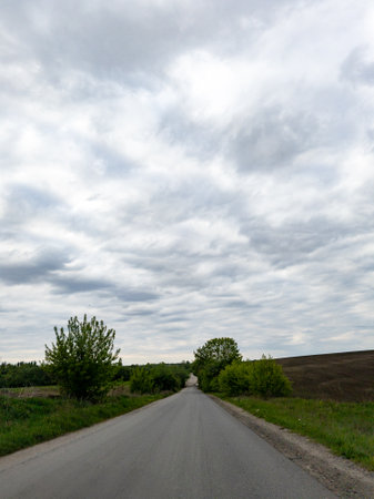 A road in the middle of a field.の写真素材