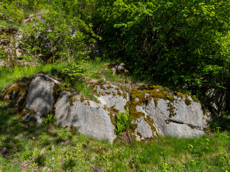 A large rock in the middle of a grassy field with trees in the background.の写真素材