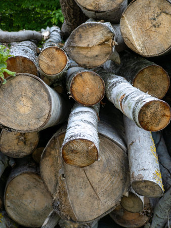 A pile of logs stacked on top of each other.