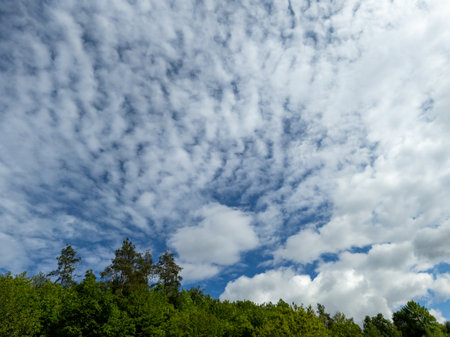 A blue sky with white clouds and trees in the foreground.の写真素材