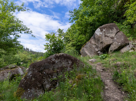 A large rock in the middle of a grassy field next to a forest.の写真素材