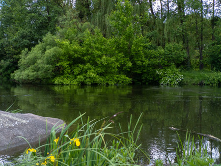 A body of water surrounded by trees and flowers.の写真素材