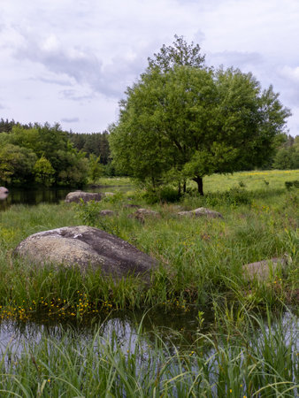 A large rock in the middle of a grassy field next to a body of water.の写真素材
