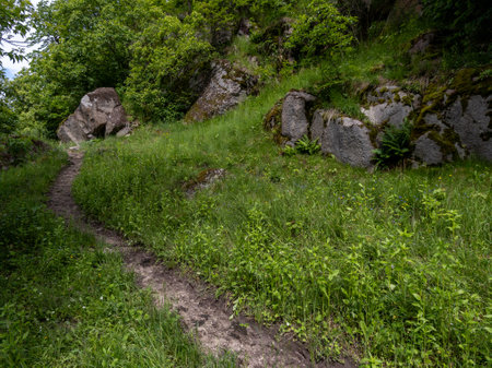 A dirt path in the middle of a grassy field next to a rocky hillside.の写真素材