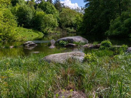 A small river in the middle of a lush green forest.の写真素材