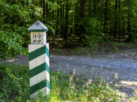 A green and white striped pole in the middle of a forest.の写真素材