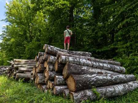 A man standing on top of a pile of logs in the woods.の写真素材