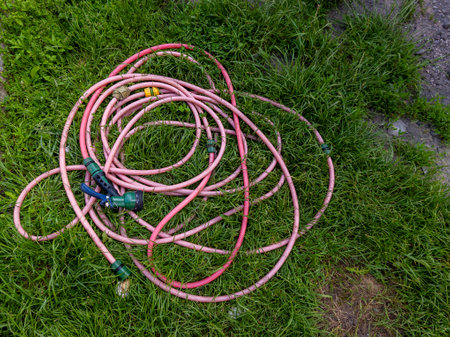 A pink garden hose laying on the ground in the grass.の写真素材