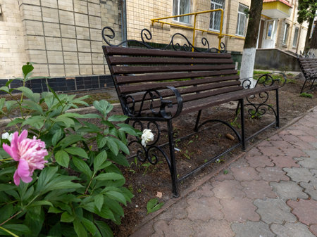 A wooden bench sitting in the middle of a flower garden.の写真素材