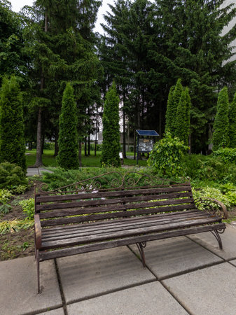Wooden bench, which is in the middle of the park.の写真素材