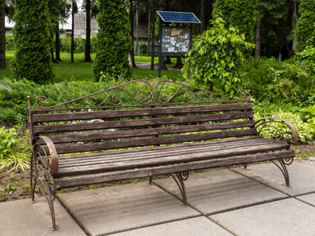 Wooden bench standing in the middle of the park.の写真素材