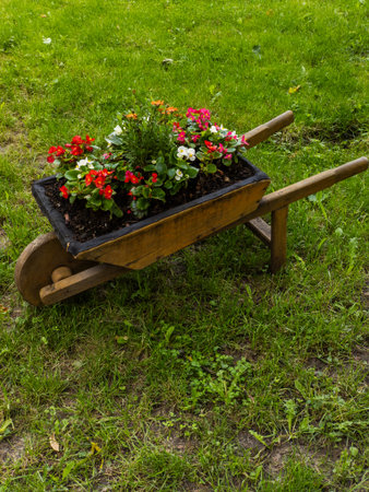 A wooden wheelbarrow filled with flowers sitting in the grass.の写真素材