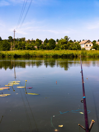A fishing rod in the middle of a body of water surrounded by lily pads.の写真素材