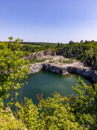 A large body of water surrounded by trees and bushes.の写真素材