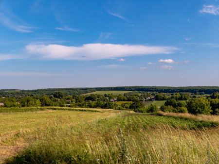 A grassy field with a blue sky and clouds in the background.の写真素材