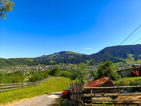 A dirt road in the middle of the herbaceous field next to a wooden fence against the hills background.の写真素材