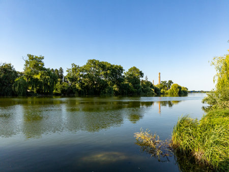 A body of water surrounded by trees and grass.の写真素材