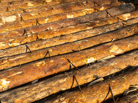 A pile of logs stacked on top of each other.