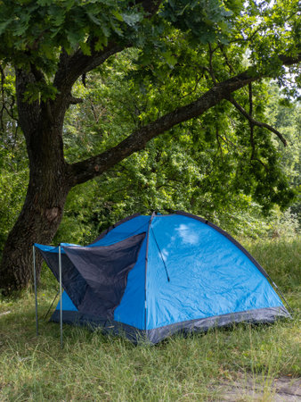 A blue tent is set up under a tree in the woods.の写真素材