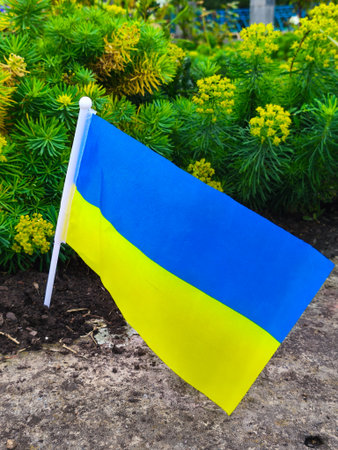 A blue and yellow flag in front of some yellow flowers.の写真素材