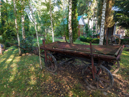 An old wooden cart sitting in the middle of a forest.