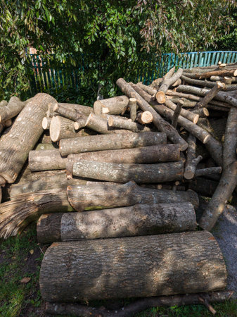 A pile of logs sitting on top of a pile of dirt.