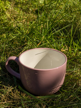 A pink coffee cup sitting in the grass on the ground.の写真素材