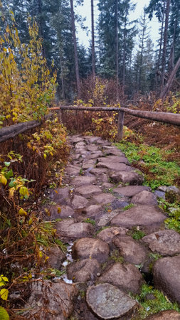 A stone path in the middle of a forest with a wooden fence.