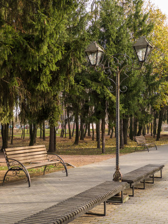 A row of benches sitting next to a street light in a park.の写真素材