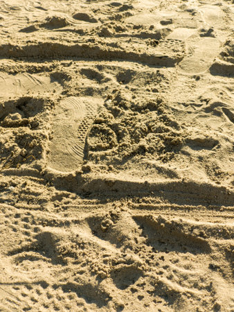 Footprints in the sand.