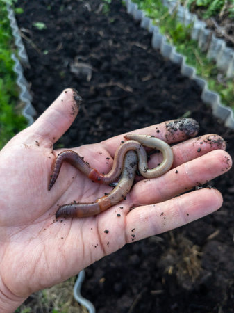 A person holding a handful of worms in their hand.