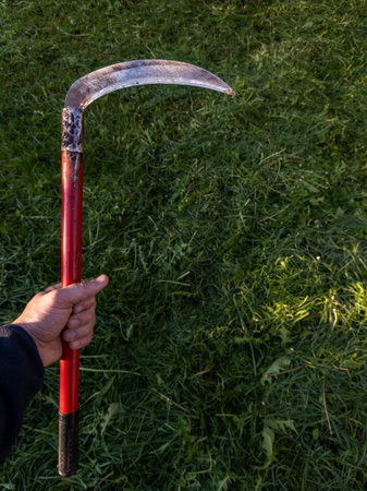 A person holding a scythe in their hand in the grass.