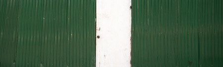 Green wall and white doorの写真素材