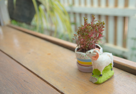 Sheep dollyの写真素材