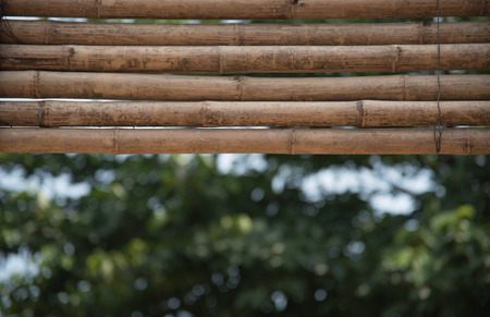 ??Bamboo panel, selective focusの写真素材