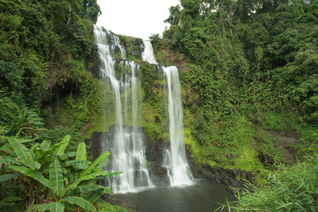 Tad Yuang Waterfall champasak laosの写真素材
