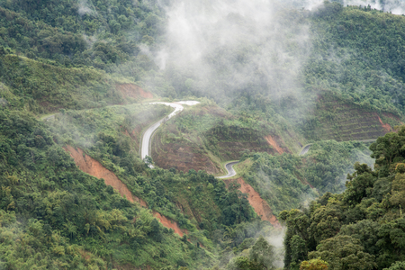 Mountain view in tropical forestの写真素材